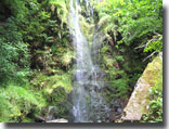 Mallyan Spout waterfall, Goathland