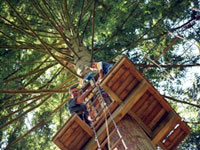 Go Ape Dalby Forest